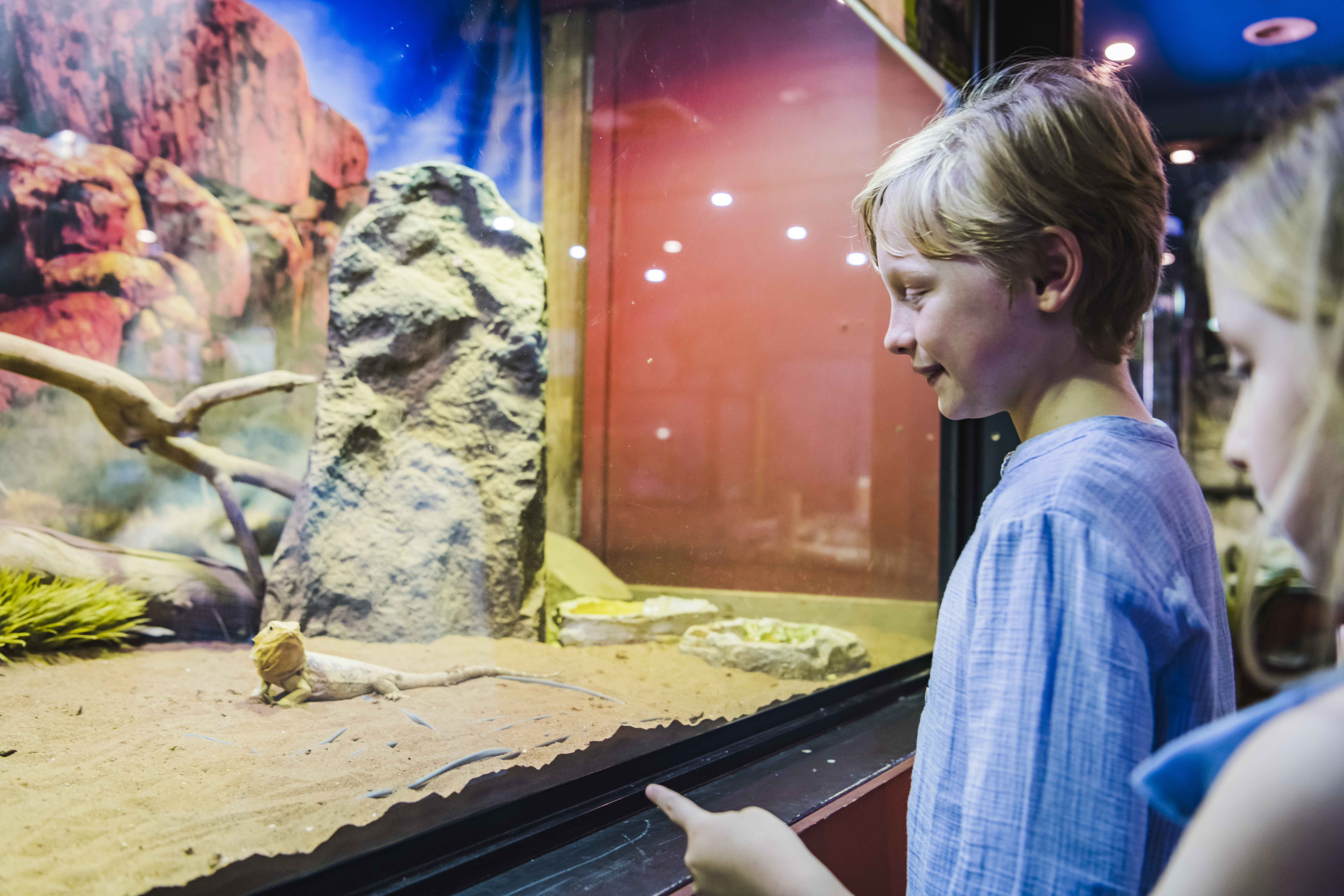 Canberra Reptile Zoo ©Tourism Australia
