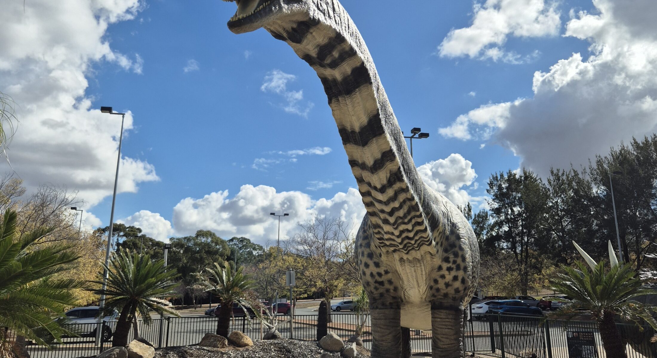 Outdoor play area National Dinosaur Museum