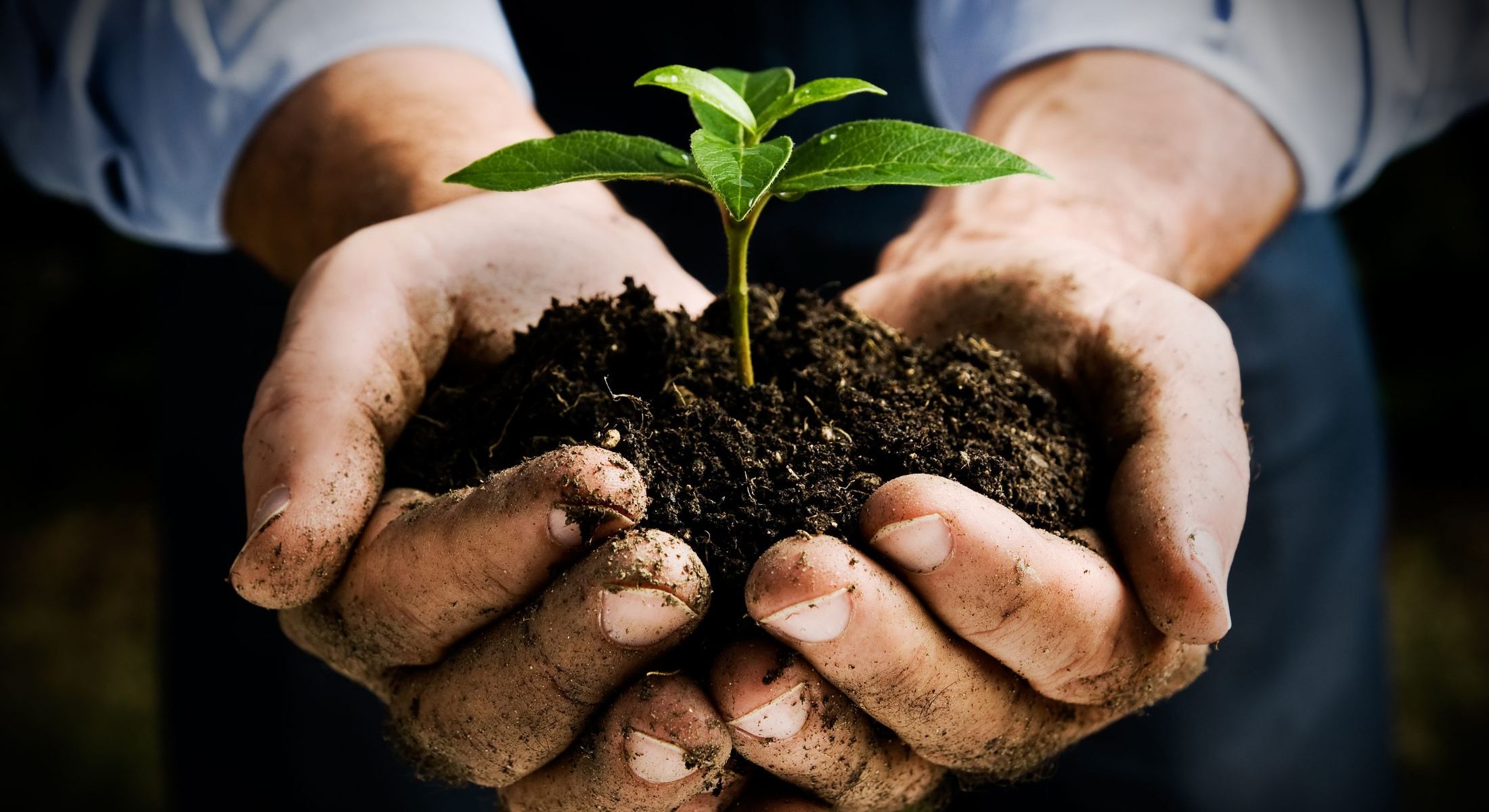 Business delegates attending a sustainable corporate event at Mercure Canberra.